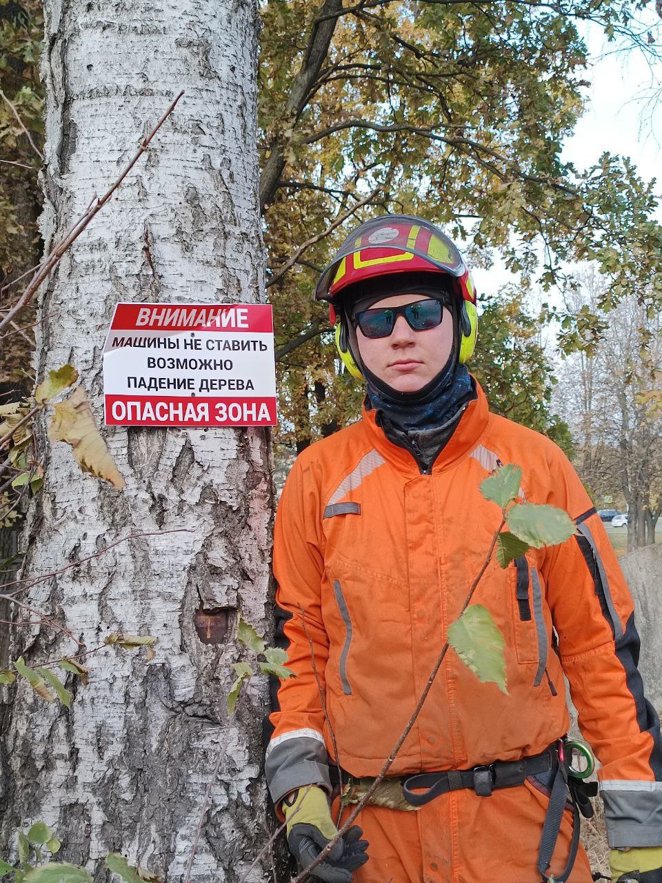 Андрей Гаврилов, арборист