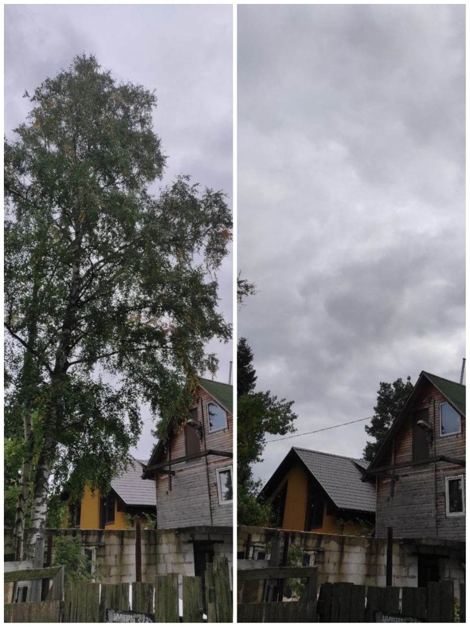 Спил деревьев в Лахденпохье